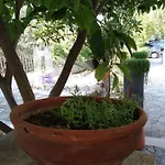 Skyrosfamilyhouses-manou Casa vacanze Skyros