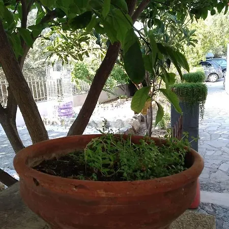 Skyrosfamilyhouses-manou Hébergement de vacances Skyros